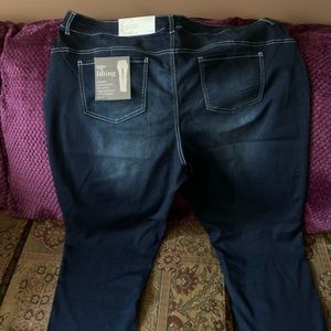 Plus Size Petite Jeans Size 22WP